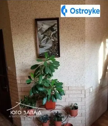 Конноармейская улица — фото 4
