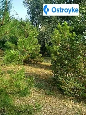Днепровская улица — фото 1