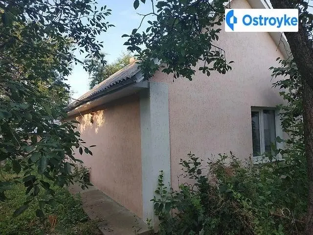 Продаж будинку, 35 м², Немирів — фото 3