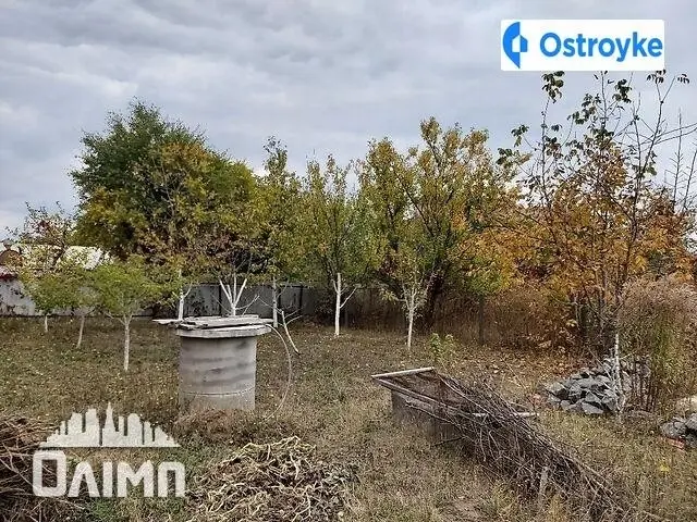 М-в "Березина" — фото 3