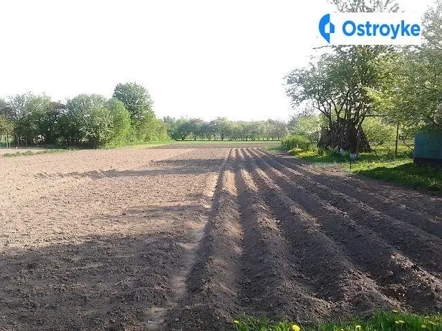 Східна — фото 3