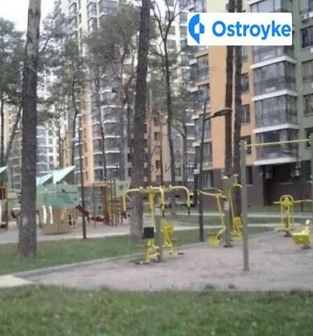 ул. Петрицкого