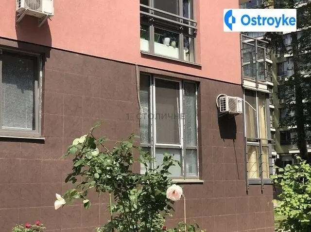 ул. Петрицкого — фото 2