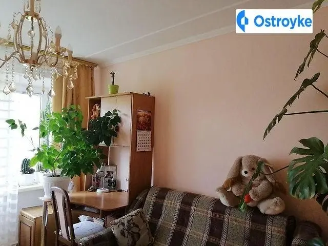 Королева ак. — фото 4
