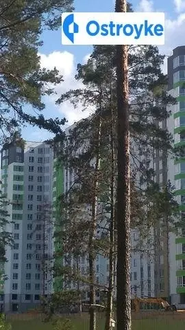 Чехова улица — фото 3