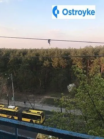 Жукова — фото 1