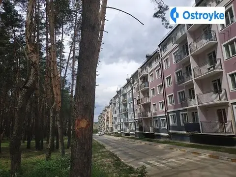 Белокур