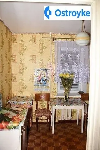 2-кімнатна квартира, 48 м², Василівка — фото 8