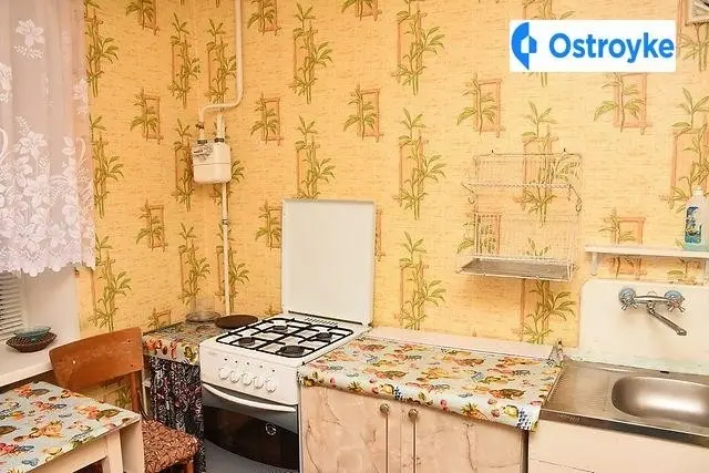 2-кімнатна квартира, 48 м², Василівка — фото 9