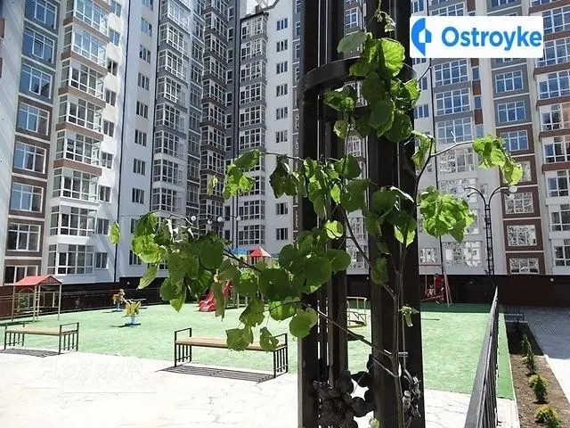 Продаж 1-кімнатної квартири, 61 м², Івано-Франківськ — фото 3