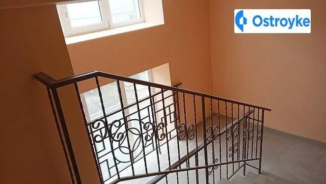 Панаса Мирного улица — фото 5
