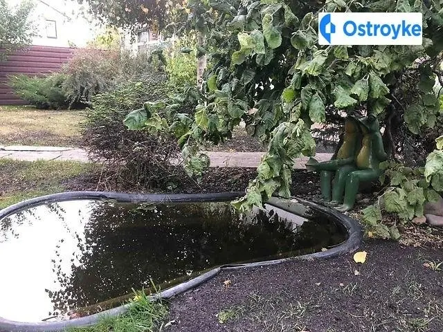 Садовая (Осокорки) улица — фото 4
