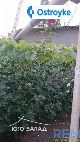 Туристская улица — фото 1