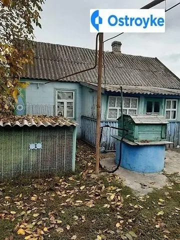 Дружбы — фото 2