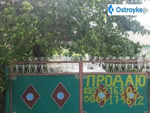 58-й стрелковой дивизии