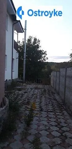 Павла Соломки — фото 1