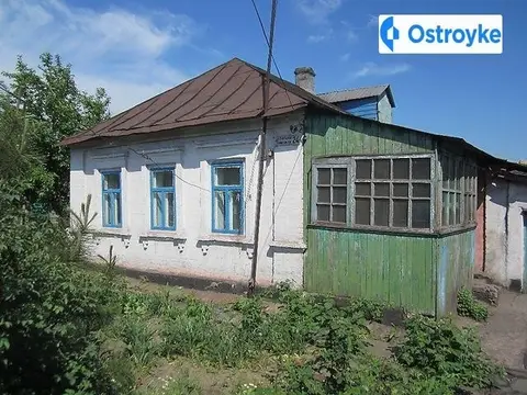 Полярная