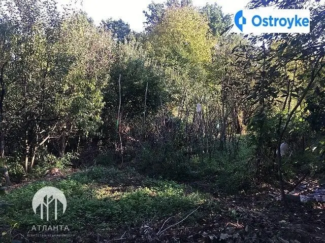 Продаж будинку, 70 м², Ужгород — фото 4