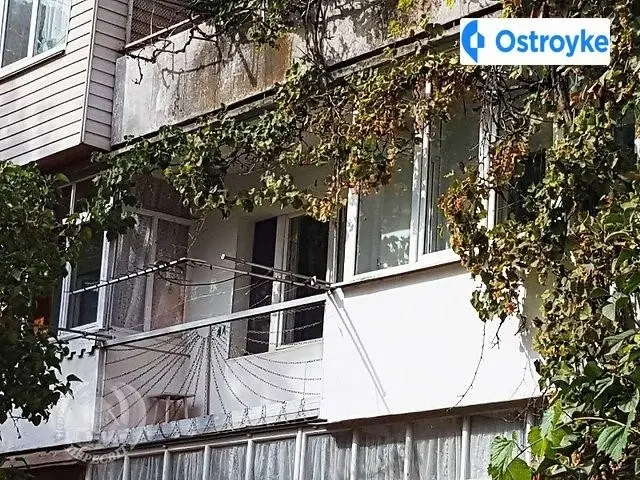 Стрілецька — фото 4