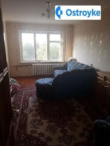 Полевая майдан — фото 2
