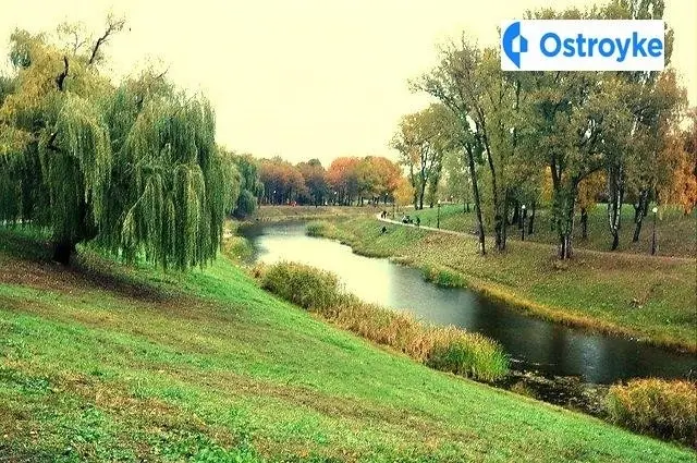Отрадный проспект — фото 5