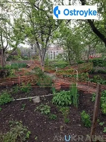 Энгельса — фото 4