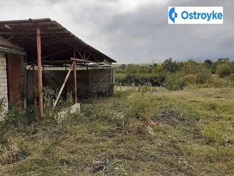 Центральная