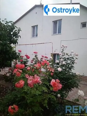 Зеленый проспект — фото 1