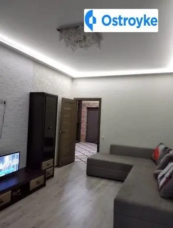 1-кімнатна квартира, 60 м², вул. Торфʼяна, Львів — фото 3