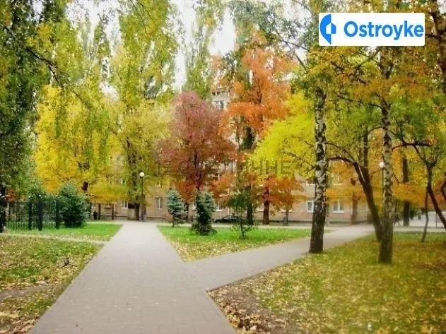 Петровского улица — фото 1