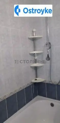 Лариси Руденко улица — фото 3