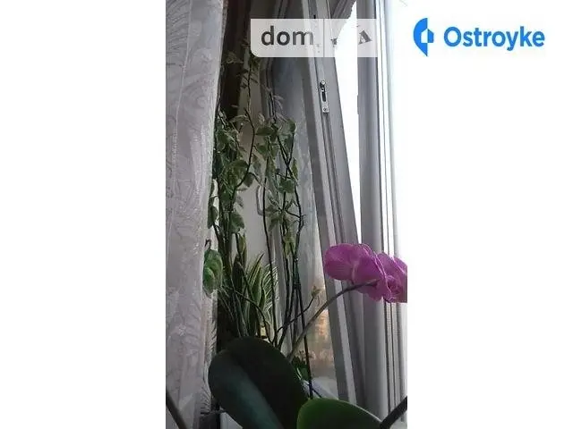 Батюка пер. — фото 2
