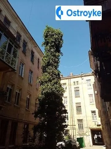 Коблевская улица — фото 1