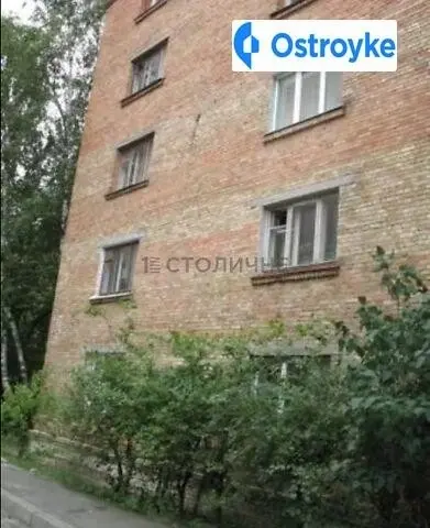 Подвойского улица — фото 4