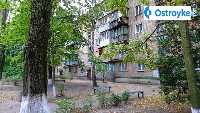 Семьи Сосниных улица — фото 1