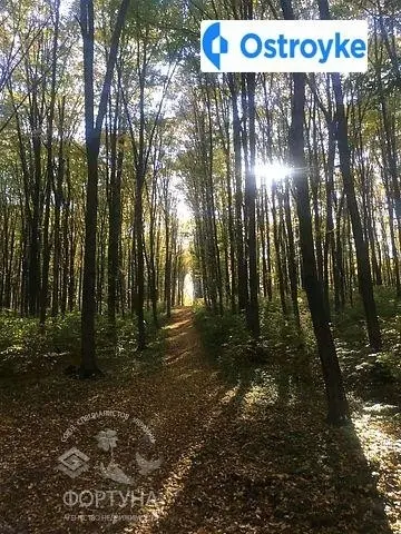 Ботаническая — фото 5