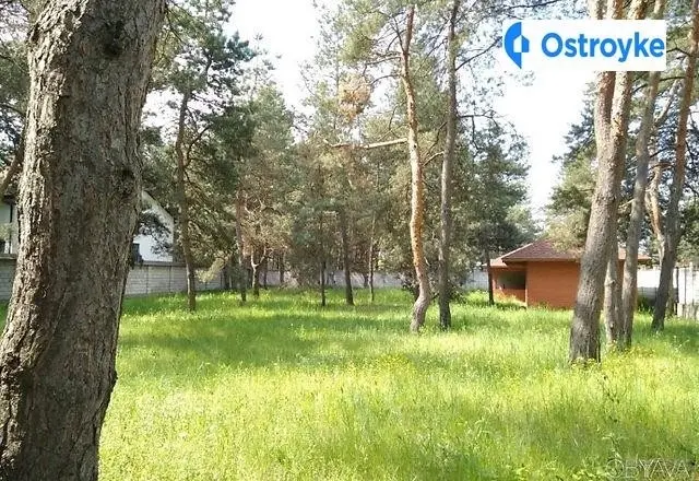 с.Куриловка,Петриковский район — фото 3
