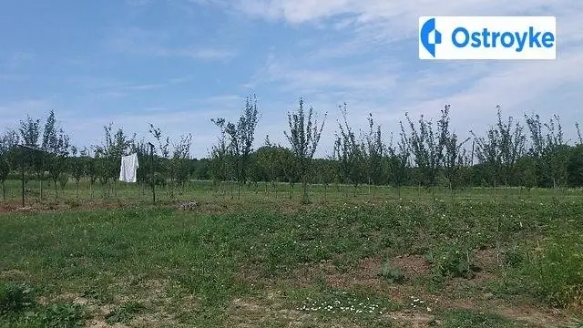 Героїв Майдана — фото 3