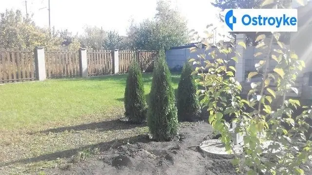 Продаж будинку, 60 м², Київ — фото 2