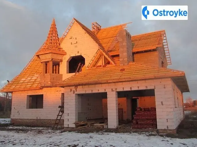 Продаж будинку, 265 м², Царичанка — фото 4