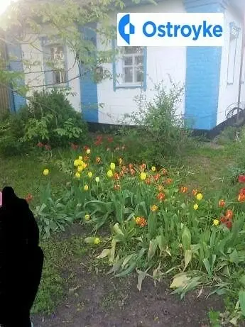 Продажа дома, 60 м², Миргород — фото 4