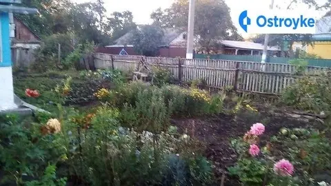 Мира