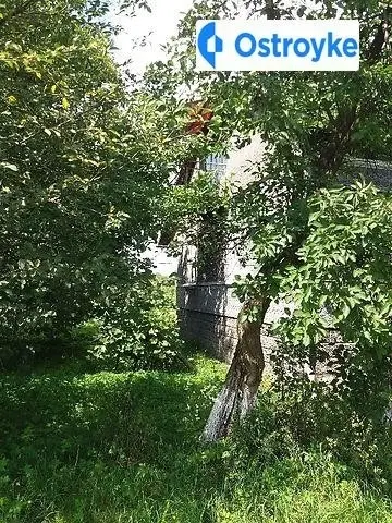 Самбірська — фото 3