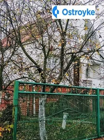 О.Телиги — фото 2