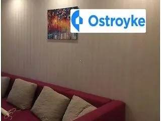Митрополита Василия Липковского улица — фото 3