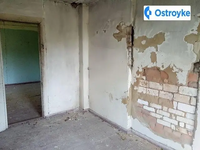 Зелена — фото 4