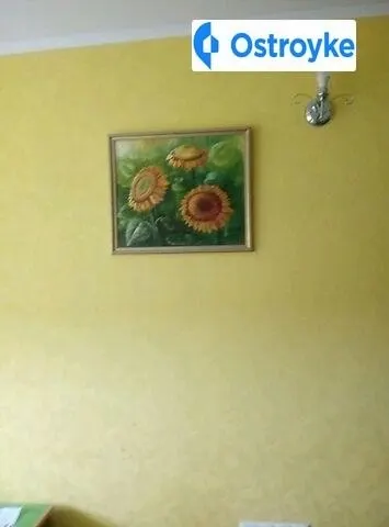Шевченко улица — фото 1