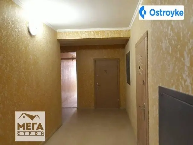 Університетська улица — фото 2
