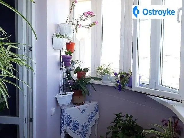 Академика Вильямса улица — фото 2