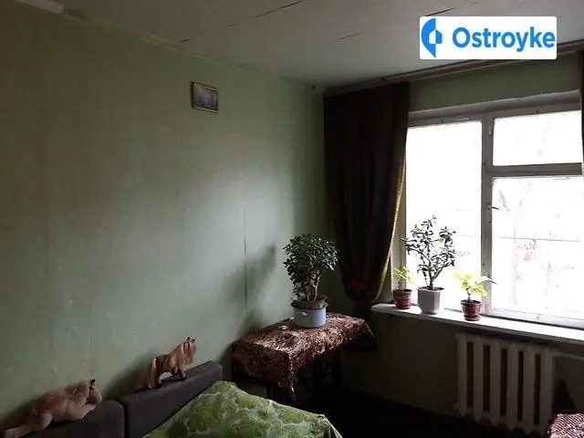 Громова — фото 2